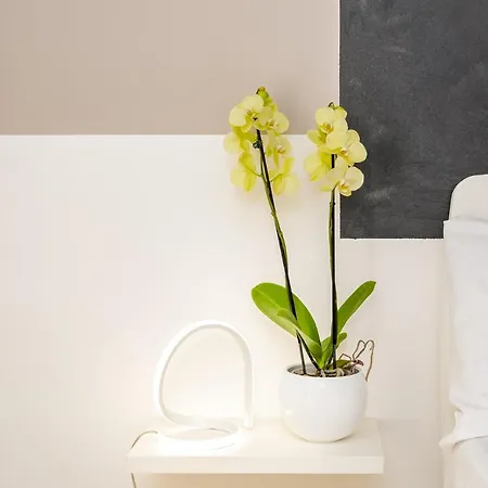 Ercole بيت للعطل